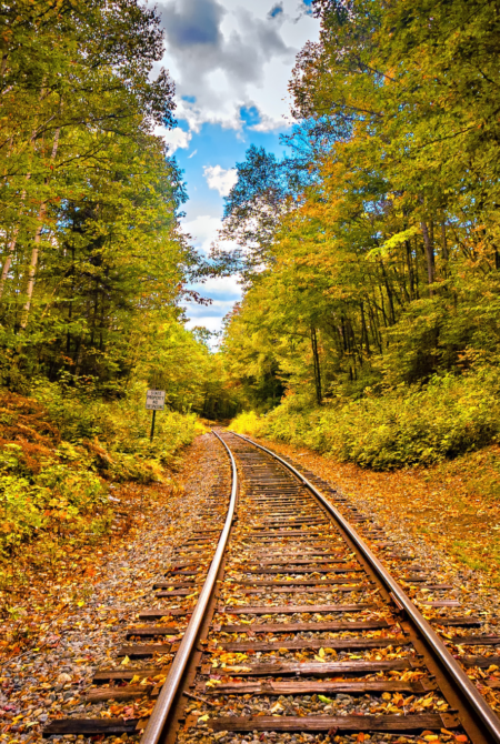 2022-10-LoveNozze-il-treno-del-foliage