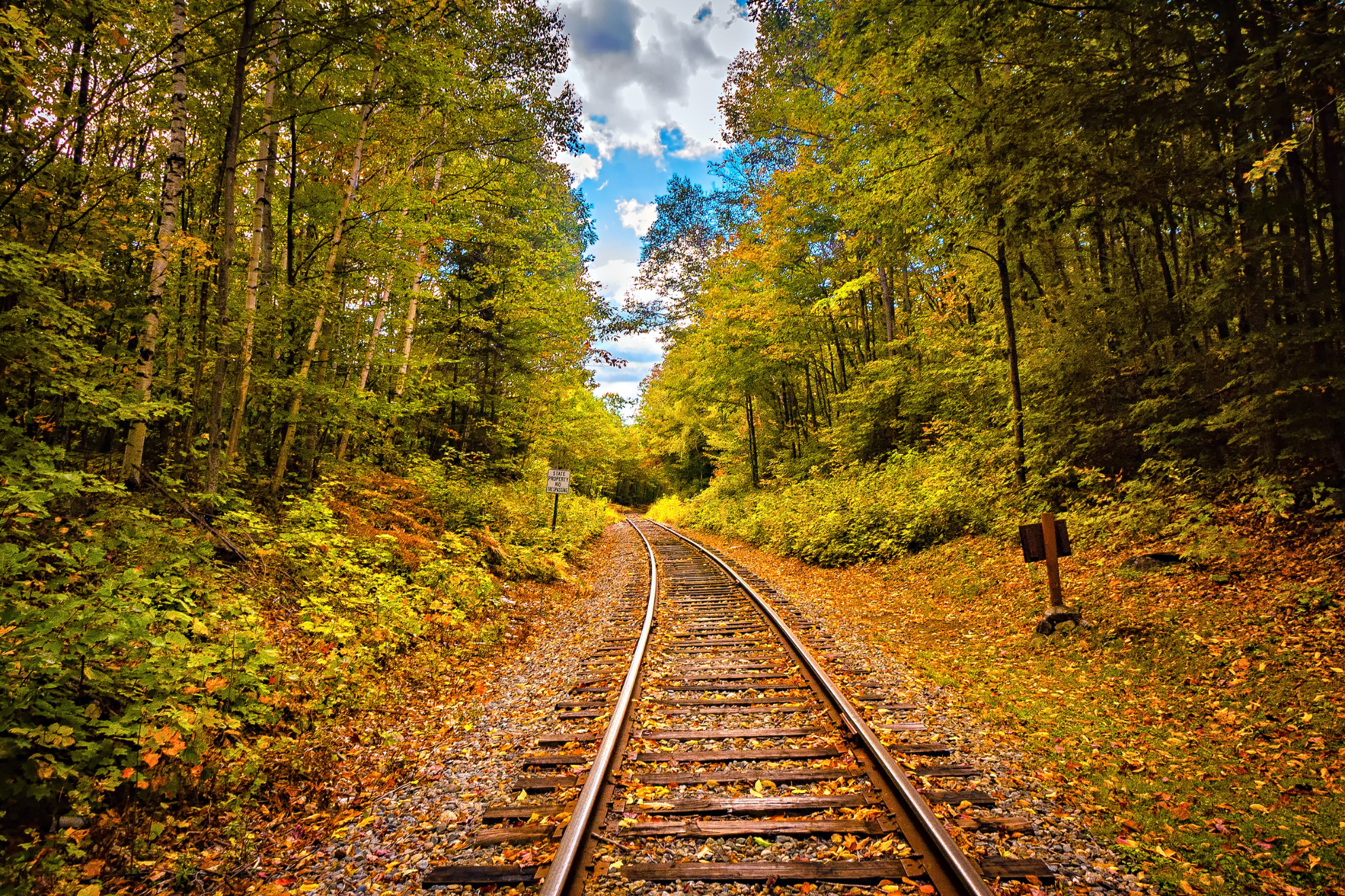 2022-10-LoveNozze-il-treno-del-foliage