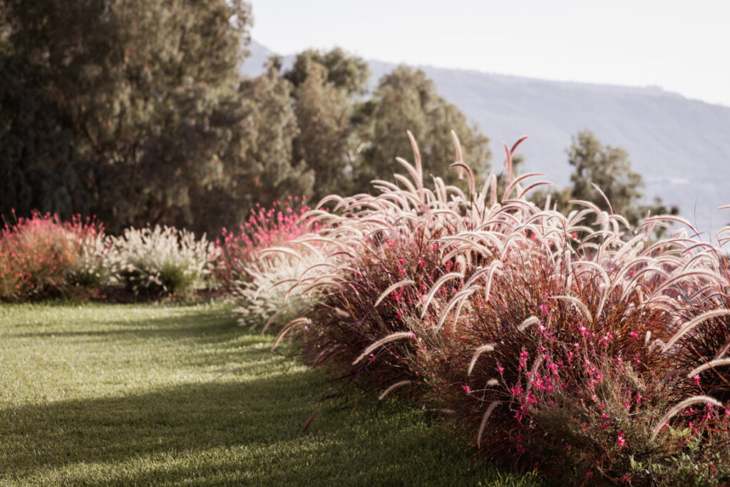 Armacera Resort, giardino e spazi verdi del design resort